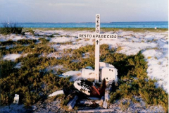 12.-Isla-Tortuga-Venezuela.-No-todos-los-hallazgos-en-las-playas-desiertas-son-provechosos...