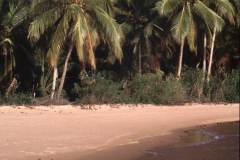 30.-San-Blas.-Playa-de-Coco-Bandero