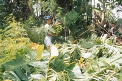 19.-Marquesas.-No-hace-falta-ir-al-supermercado