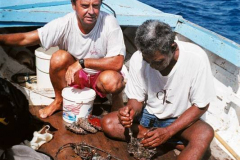 24.-Tuamotu.-Papa-Tohau-abre-las-ostras
