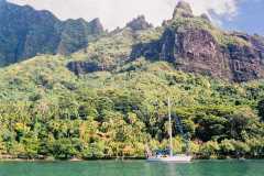 38.-Las-Sociedad-Polinesia.-Bahia-Cook-isla-de-Moorea-2