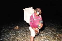 41.-Mopelia.-La-pesca-nocturna-de-la-langosta