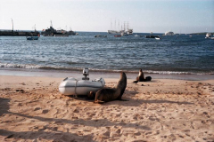 6.-Galapagos.-El-nuevo-juguete-de-las-focas