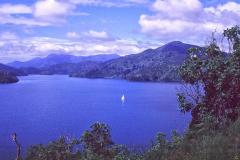 66.-Nueva-Zelanda.-La-tranquila-navegacion-por-las-bahias-neocelandesas