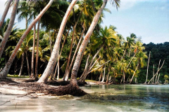 9.-Vanuatu.-Sus-salvajes-playas